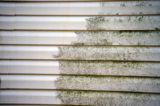 Best Property Management Cleanouts  in Holbrook, NY