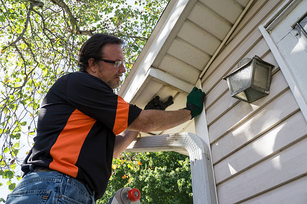 Best Hoarding Cleanup  in Holbrook, NY